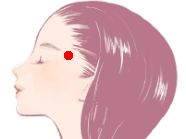 こめかみ周辺のツボ