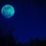 闇夜の月