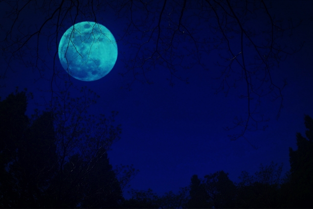 闇夜の月